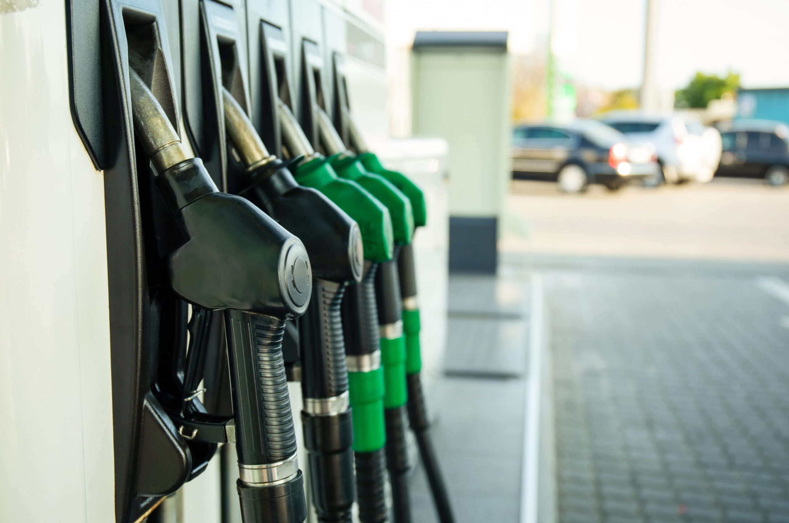 20260326 091504 85e6a083 scaled